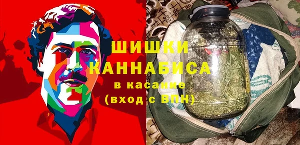 индика Вяземский